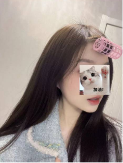悉尼伴游